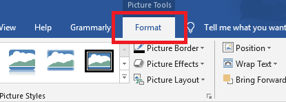 デフテフPDFファイル Format Picture in Word