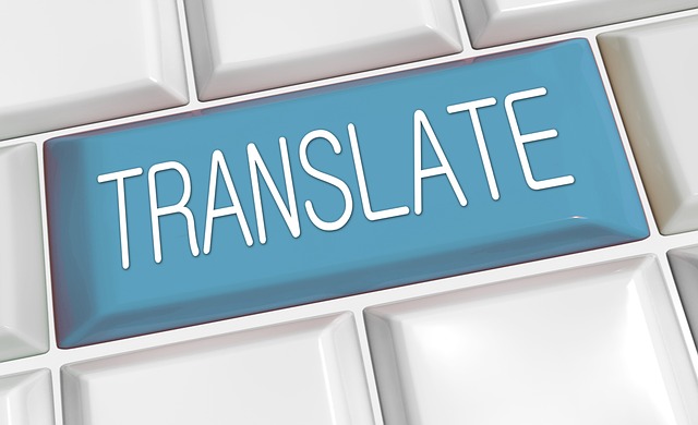 translate button