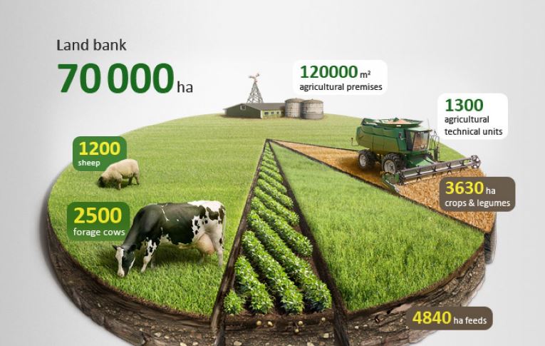 sample infogrpahic for an agriculture company