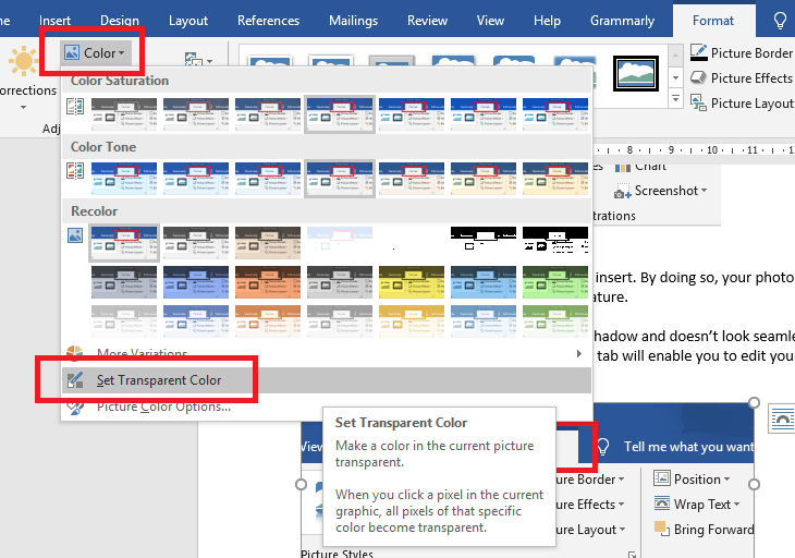 DeftPDF color format in word