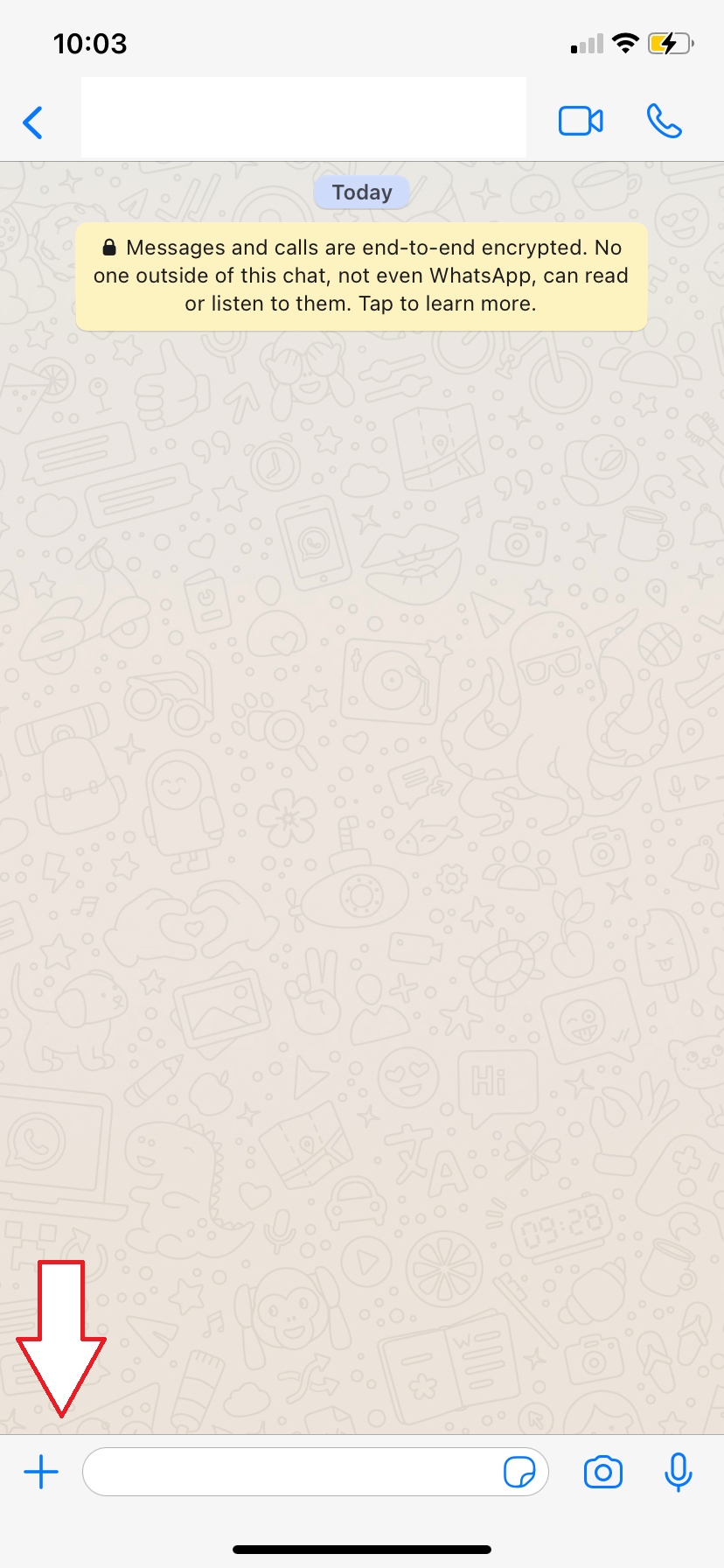 screenshot of a whatsapp conversation