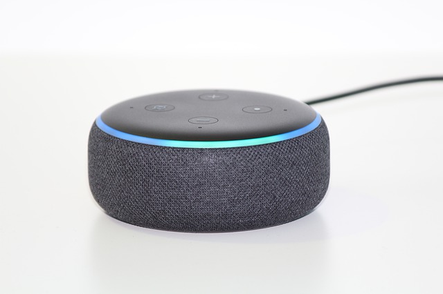 alexa voice recognition