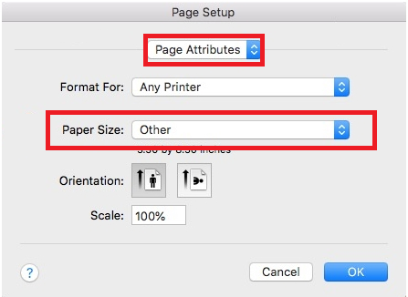 page attributes