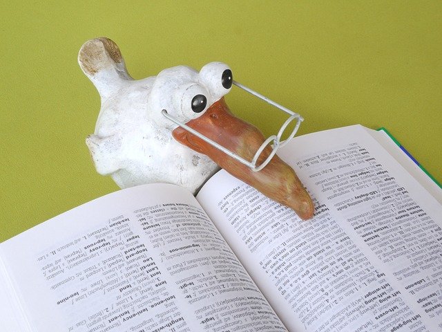 translating online. picture of a duck reading translation book